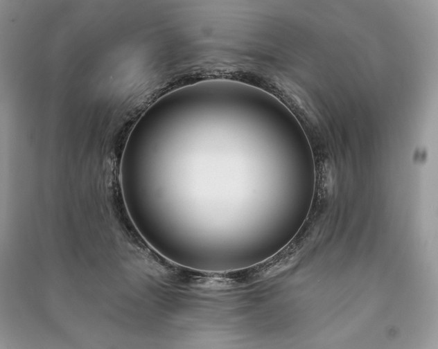 X0000090970463200708091440