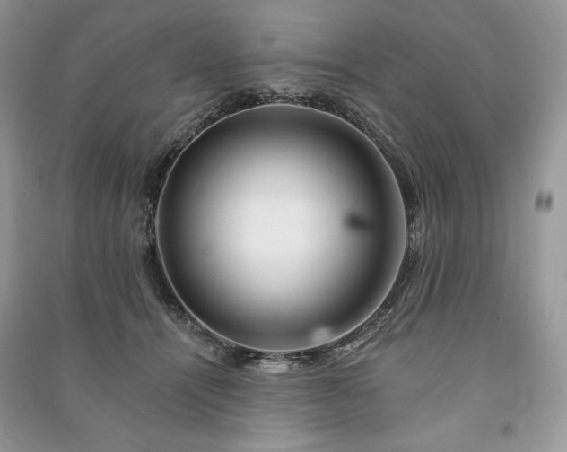 X0000090970464200708091440