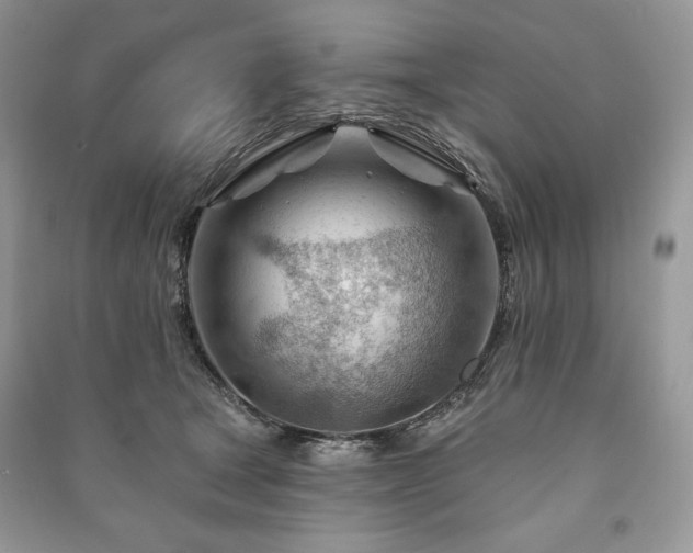 X0000090970465200708091440