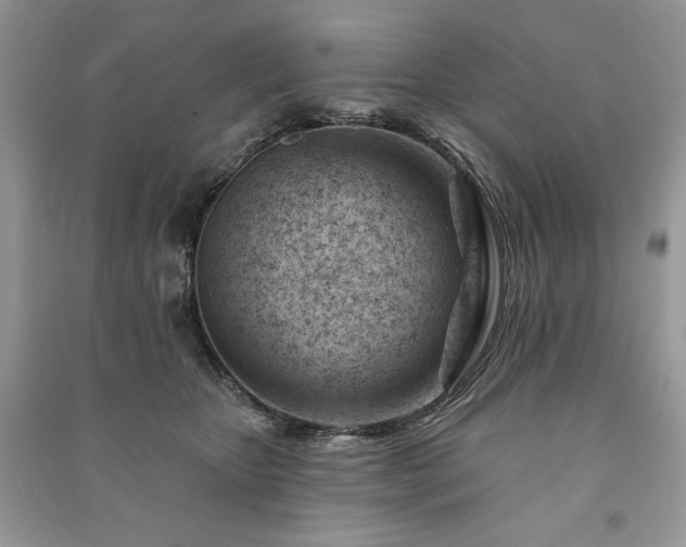 X0000090970467200708091440