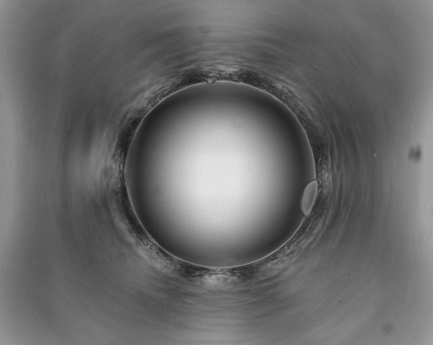 X0000090970468200708091440