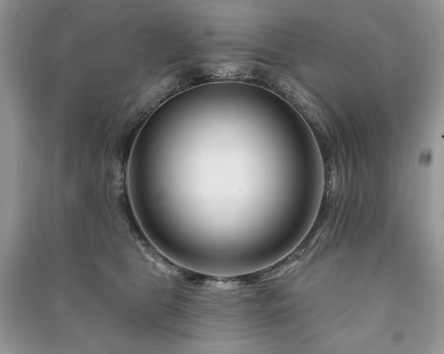 X0000090970469200708091440