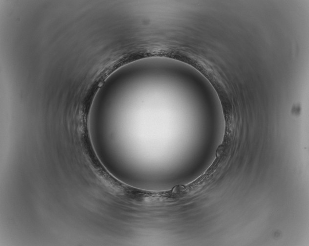 X0000090970470200708091440