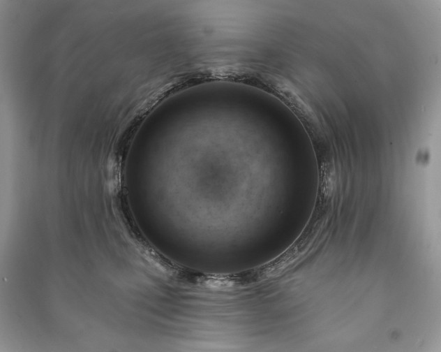 X0000090970471200708091440