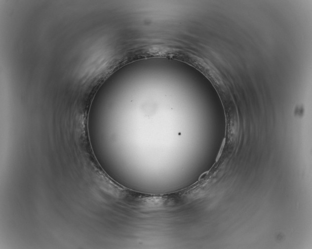 X0000090970473200708091440