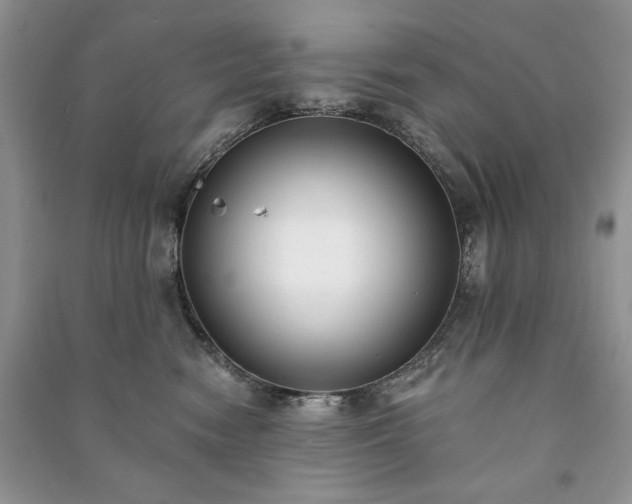 X0000090970474200708091440