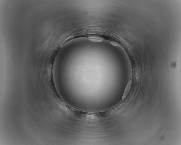 X0000090970475200708091440