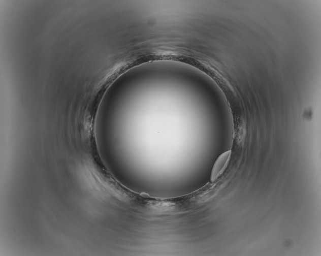 X0000090970476200708091440