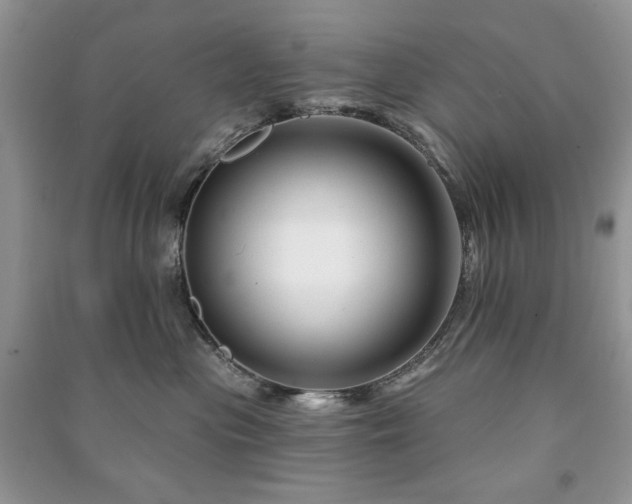 X0000090970477200708091440