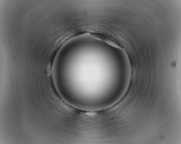 X0000090970478200708091440