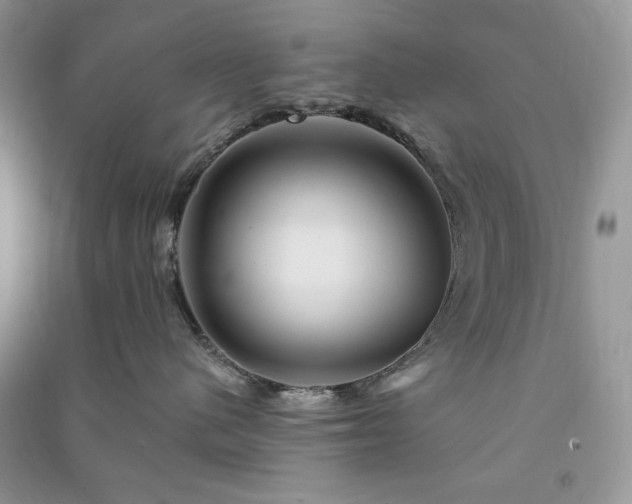 X0000090970480200708091440