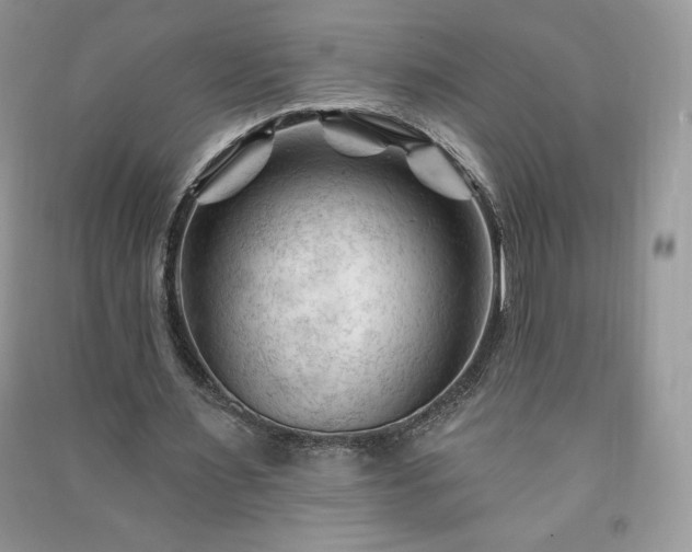 X0000090970483200708091440