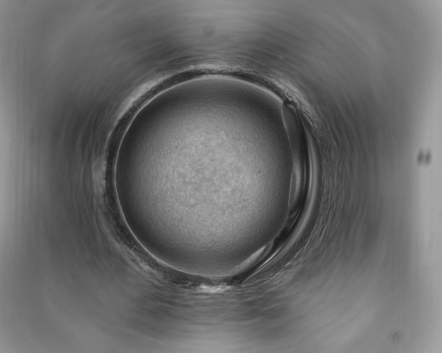 X0000090970484200708091440