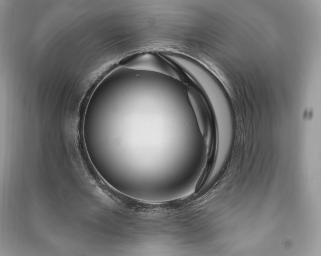 X0000090970485200708091440