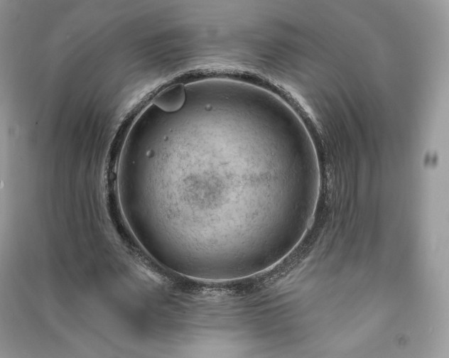 X0000090970487200708091440