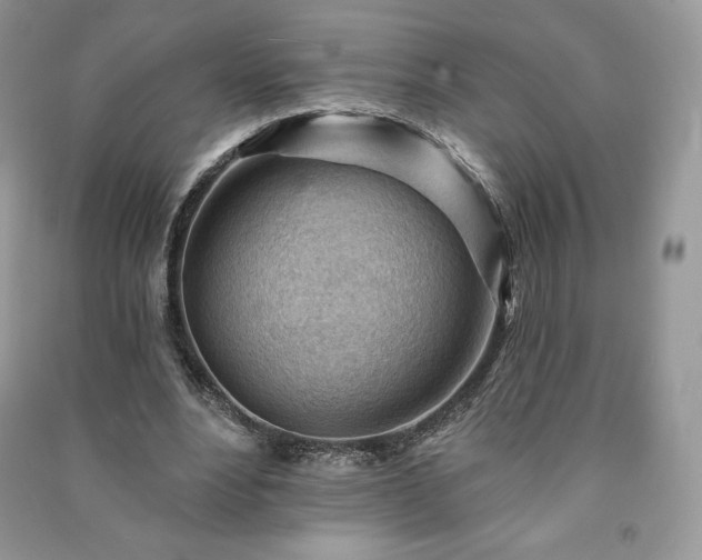 X0000090970488200708091440