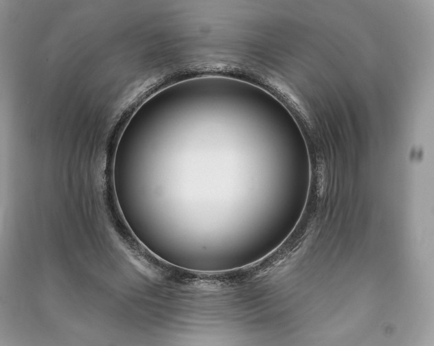 X0000090970490200708091439