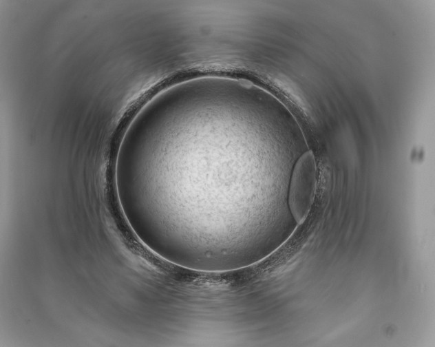 X0000090970491200708091439