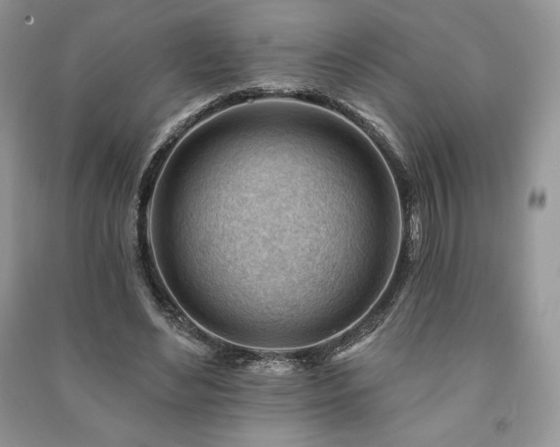 X0000090970492200708091439