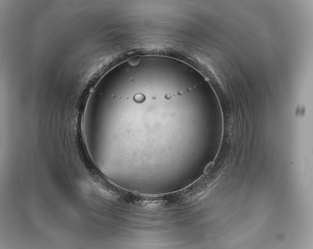 X0000090970495200708091439