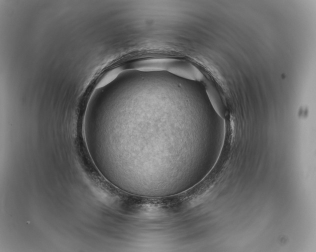 X0000090970496200708091439