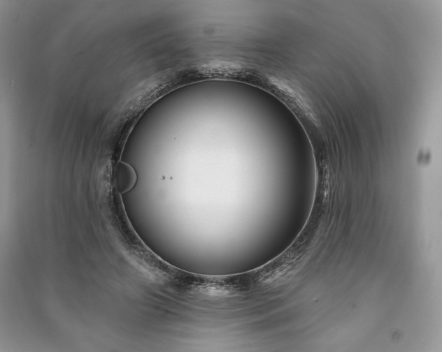 X0000090970498200708091439