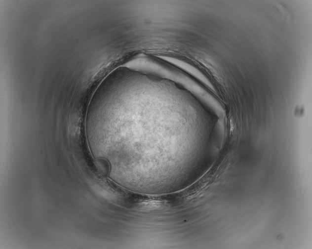 X0000090970499200708091439