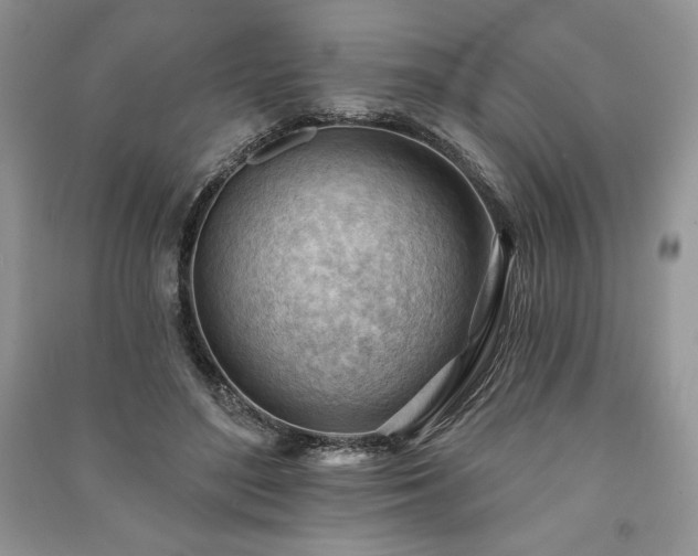 X0000090970500200708091439