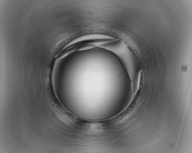 X0000090970501200708091439