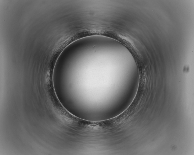 X0000090970502200708091439