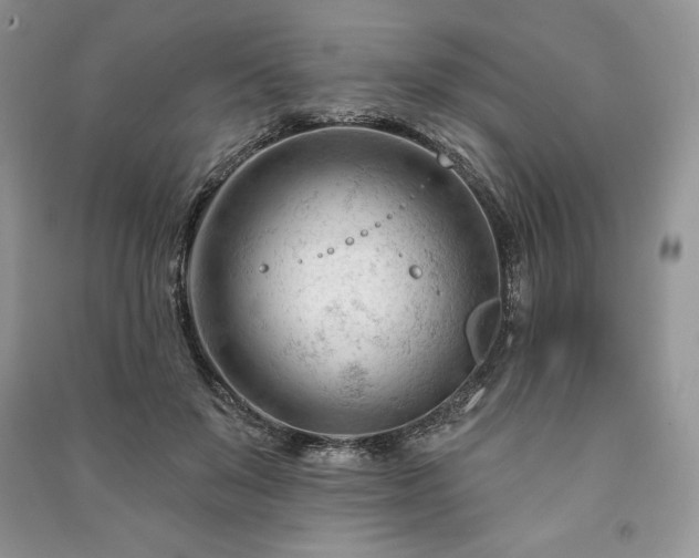 X0000090970503200708091439