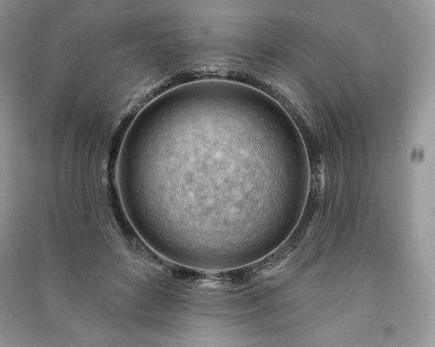 X0000090970504200708091439