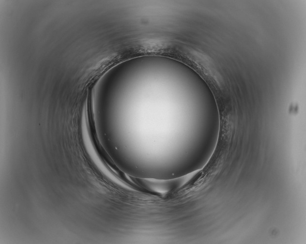 X0000090970505200708091439