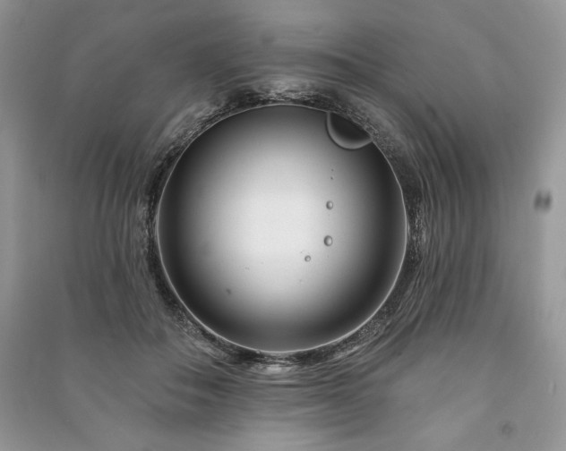 X0000090970506200708091439