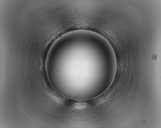 X0000090970508200708091439