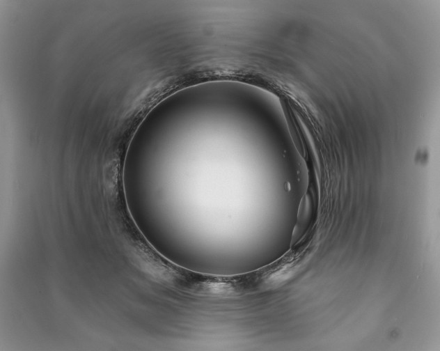 X0000090970509200708091439