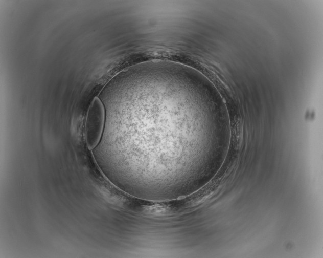 X0000090970511200708091439