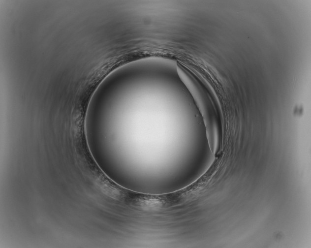 X0000090970513200708091439