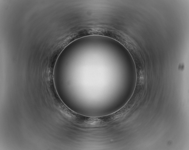 X0000090970514200708091439