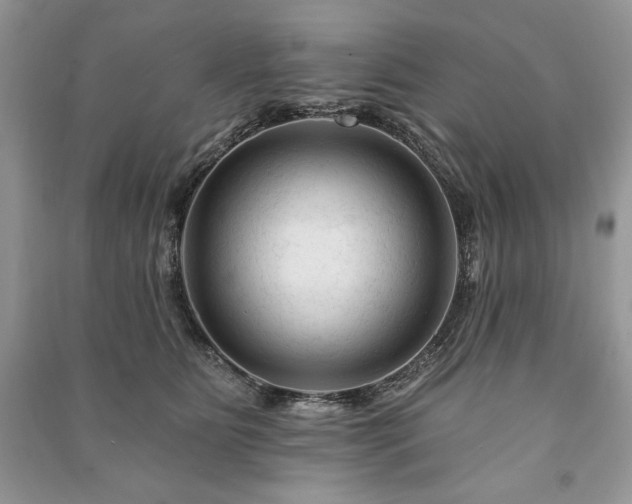 X0000090970515200708091439