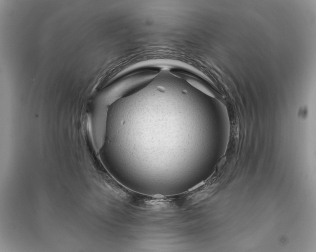 X0000090970516200708091439