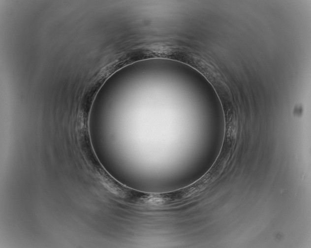 X0000090970518200708091439