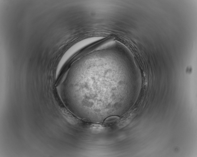 X0000090970519200708091439