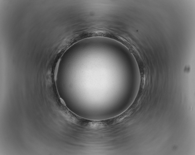 X0000090970520200708091439