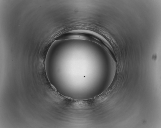 X0000090970521200708091439