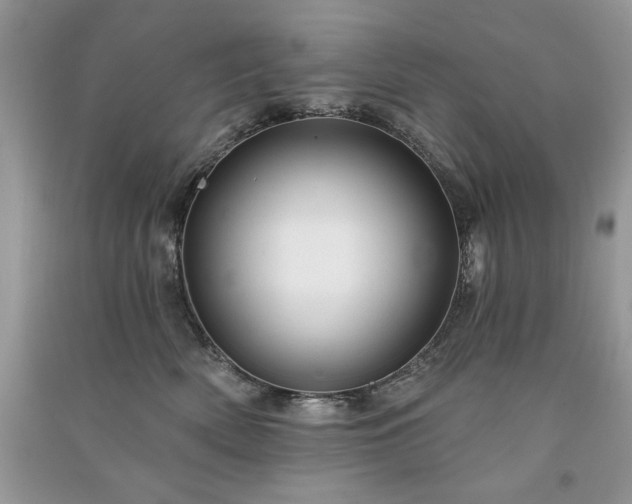 X0000090970522200708091439