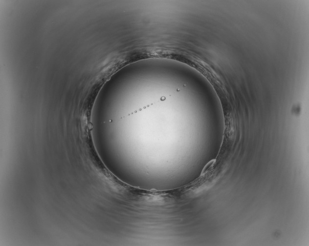 X0000090970523200708091439