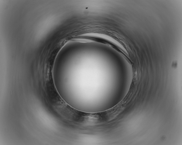 X0000090970525200708091439