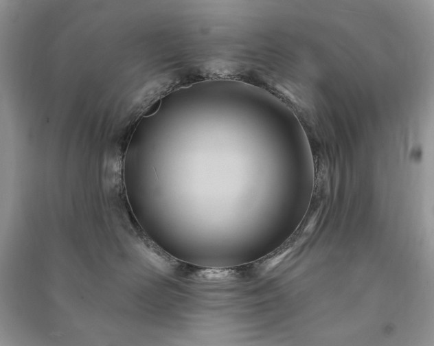 X0000090970526200708091439