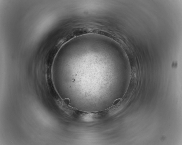 X0000090970527200708091439